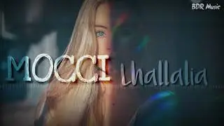 10k mocci - lhallalia 🤑