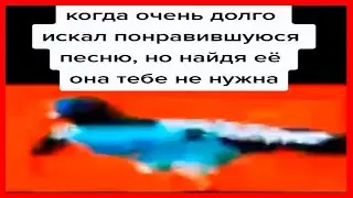 Тик Ток нашел понравившуюся песню | тик ток мемы