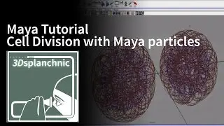 Cell division with particles in Maya