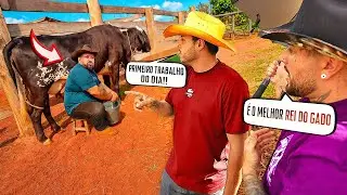 TIRANDO LEITE DA VACA MAIS BRABA DA FAZENDA !!!
