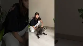 Ежедневная рутина спинальника и хозяина 