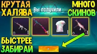 КАК ПОЛУЧИТЬ СКИНЫ НА ОРУЖИЕ В ПУБГ МОБАИЛ🔥ХАЛЯВА В ПУБГ МОБАИЛ СКИНЫ НА ОРУЖИЕ И ЭКСКЛЮЗИВНЫЕ ВЕЩИ