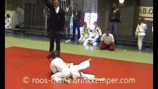 open flevoland roos marie