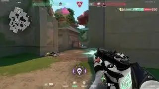 clutch clove