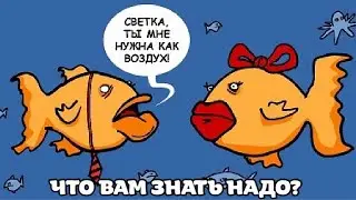 ЧТО ВАМ ЗНАТЬ НАДО?