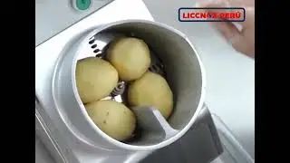 PROSESADOR DE ALIMENTOS