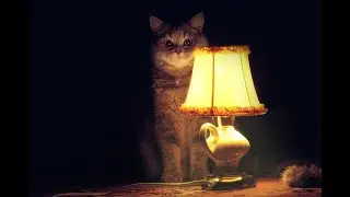 Краткое включение №2