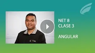 NET 8 - Angular