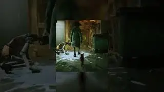 Stray самая лучшая игра 2022 года AidGor shorts