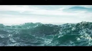 The Ocean