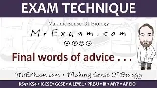 Exam technique - Mr Exham's final words of advice before your GCSE exams