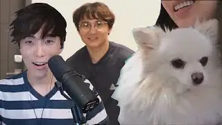 Lilypichu surprises Michaels stream | Sykkuno sees a chicken bomb | Scarra shoots DisguisedToast