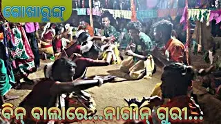 Gokharung Pila+Tukel mix kirtan..ବିନ୍ ବାଲା ରେ...dance ( ନାଗିନ୍ ଗୁରି )