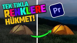 VİDEO RENK FİLTRESİ LUT ( LOOK UP TABLE ) NEDİR ? | Premiere Pro Dersleri