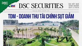 TDM - DOANH THU TÀI CHÍNH SỤT GIẢM | SOI KQKD Q2/2024