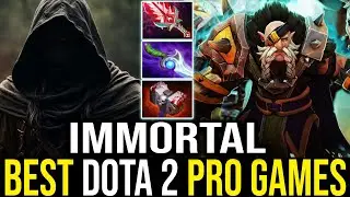 Immortal Lone Druid Mid | Dota 2 Pro Gameplay [Learn Top Dota]