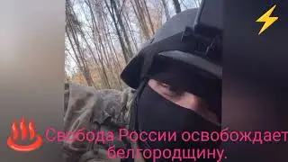 Бои на белгородщине.