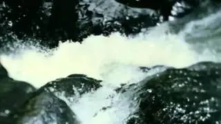 Реклама пива Gösser.flv