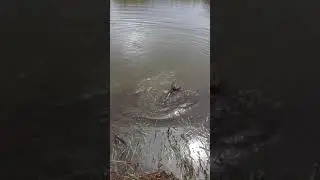 Озеро Монатка рыбалка на Щуку!!!!!!!