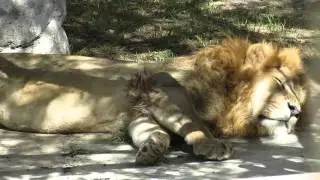 Zoologico Guayllabamba Quito