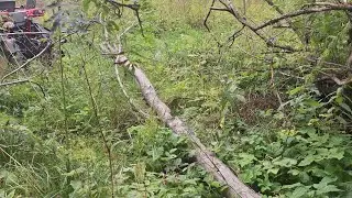 Nolauztā koka novākšana no ceļa,Уборка дерева с дороги