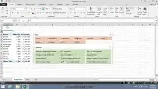 Excel Expert Lesson 5-8: Filter a pivot table visually using slicers