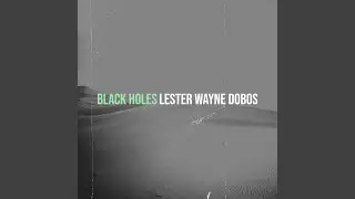 Black Holes
