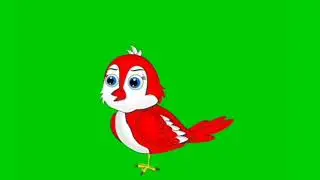 Tuni chidiya green screen video no copyright 83 bird cartoon green screen bird green screen cartoon