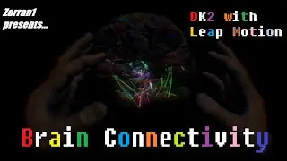 Oculus Rift DK2 with Leap Motion: Brain Connectivity