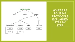 #11 What are Routing protocol | Routing protocol | Network Protocol | What is Network Protocol