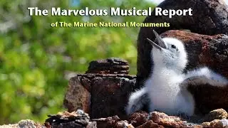 The Marvelous Musical Report of the Marine National Monuments