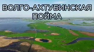 Волго-Ахтубинская пойма. Природный парк