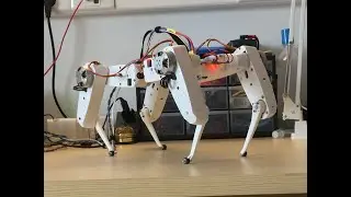 Quadruped Robot Dance (Harmandalı)
