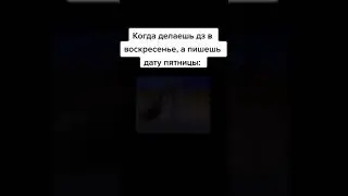 мем