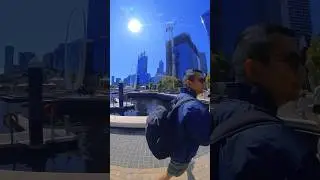 Perth to Shark Bay | Denham #shorts