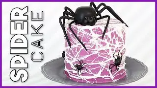 Spooky Spider Cake | Renee Conner