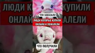 ЛЮДИ КОТОРЫЕ КУПИЛИ ОНЛАЙН И ПОЖАЛЕЛИ