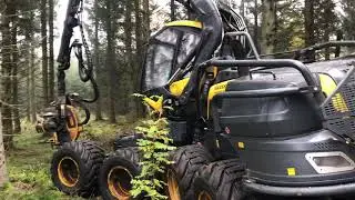 Ponsse scorpion H6