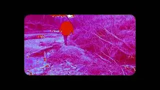 Anjimile - Ready or Not (Official Visualizer)