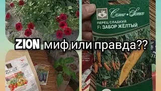 РАССАДА СЛАДКОГО ПЕРЦА 🫑 Тестирую ЦИОН 🫑 ZION удобрение пролонгированного действия 🤔