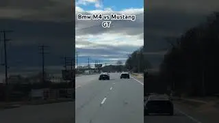 Mustang GT Gaps BMW M4
