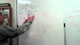 The Kidney Part 1 of 3