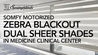 SPRINGBLINDS: SOMFY Motorized Zebra Blackout Dual Sheer Shades in Medicine Clinical Center