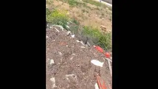 Kangal zinciri sonunda kirdi