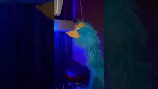 Short Fuzz McVibe Sings Beyonce's Texas HOLD'EM in the JAMBOX Blue Room Studio