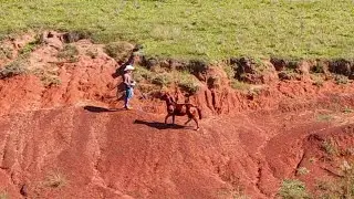 Training A Pony In A New Environment! | Foal Training [EP17]