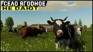 СЕЛО ЯГОДНОЕ | Farming Simulator 19 - Вредные коровы #6