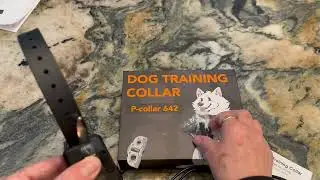 Petory Dog Training Collar with Remote, Three reasons try the Petary Training Collar