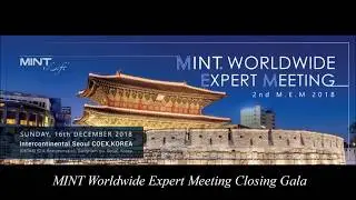 MINT Worldwide Expert Meeting Closing Gala