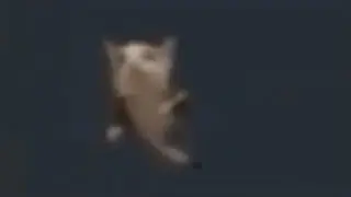 schni schna schnappi